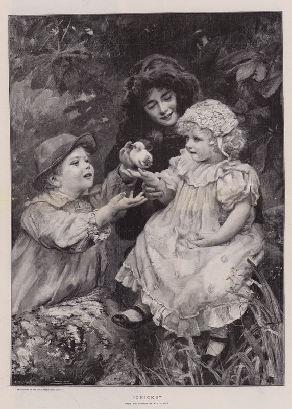 Pisklęta (grawerowanie) autorstwa Arthur John Elsley