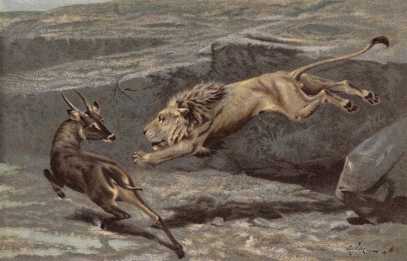 Nocny atak (chromolitho) autorstwa Arthur Wardle