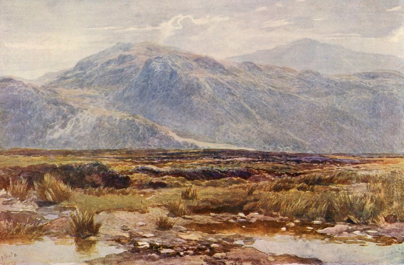 Cader Idris (kolorowa litografia) autorstwa Augustus Watford Weedon