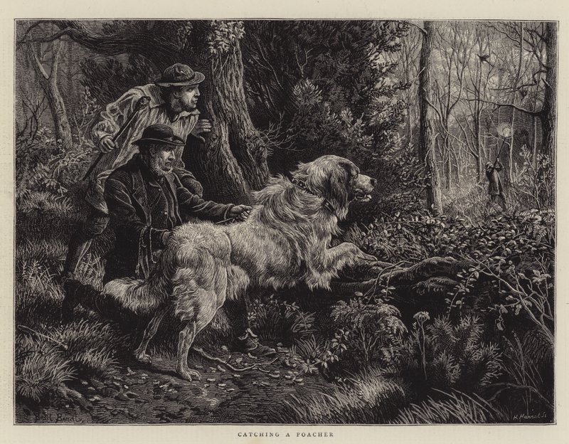 Łapanie kłusownika autorstwa Basil Bradley