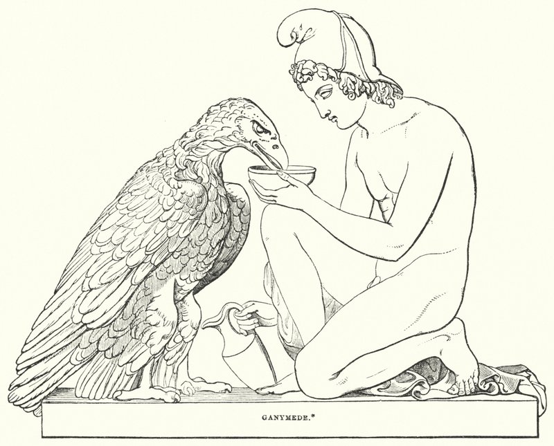 Ganimedes autorstwa Bertel after Thorvaldsen