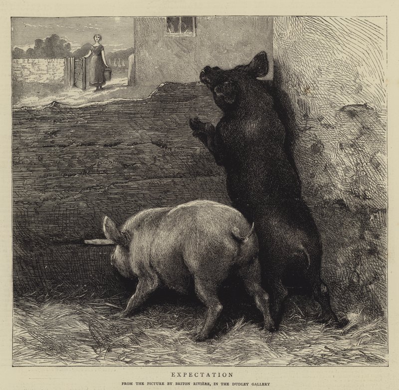 Oczekiwanie autorstwa Briton Riviere