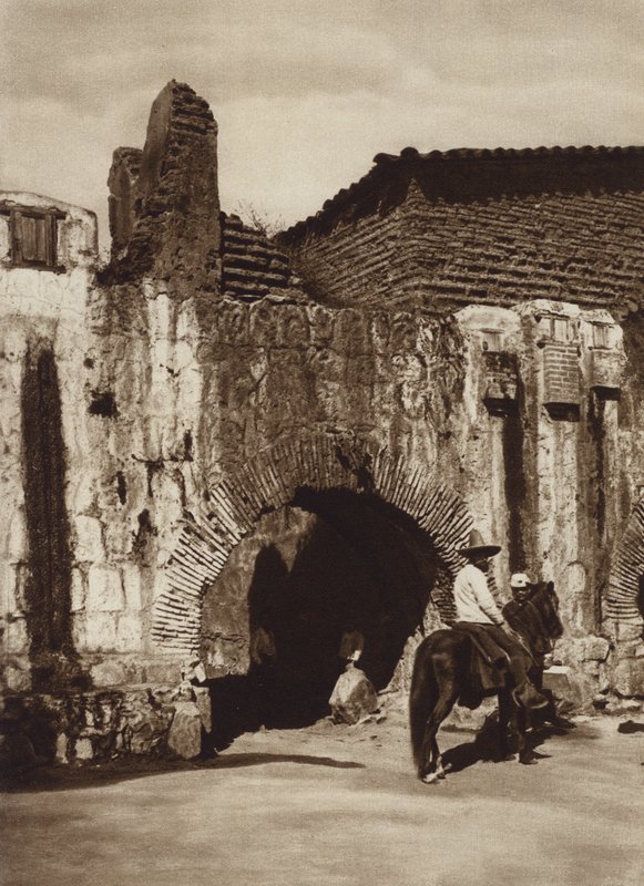 Meksyk: Oaxaca, Tuberia espanola (zdjęcie czarno-białe) autorstwa Cecile Seler Sachs