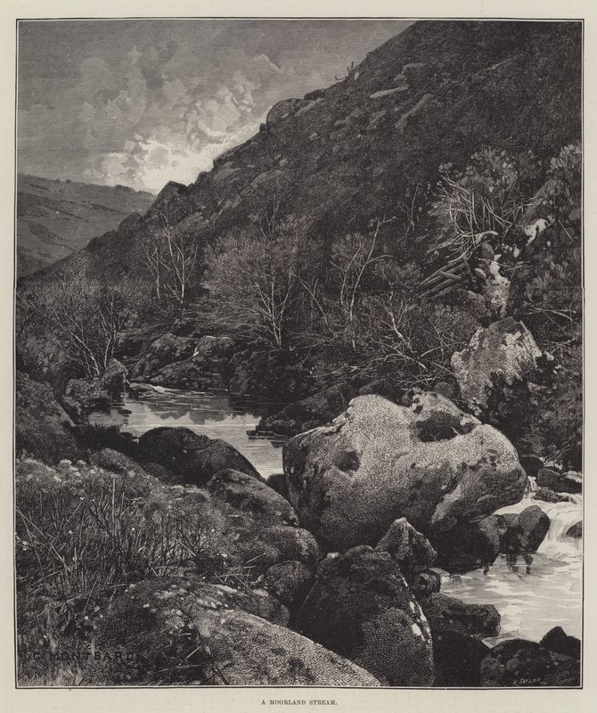 Potok wrzosowy autorstwa Charles Auguste Loye