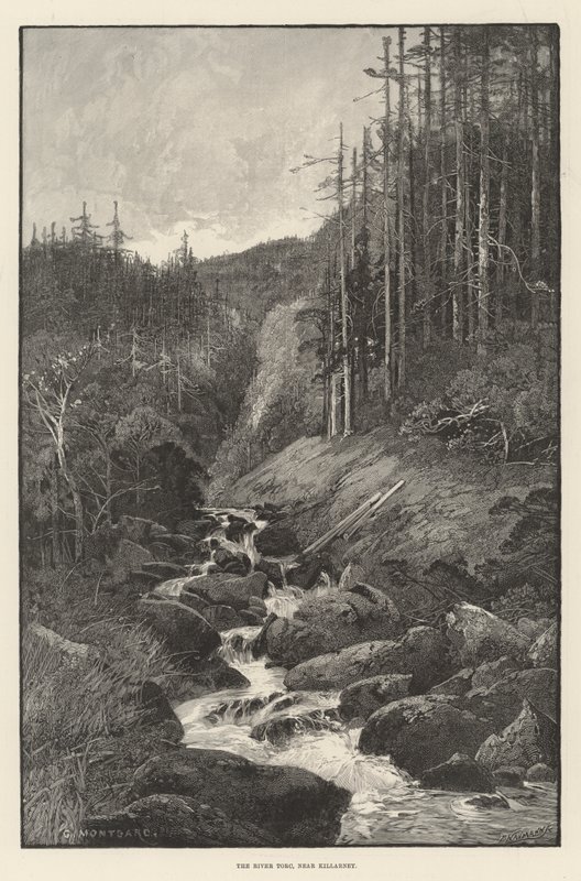 Rzeka Torc, niedaleko Killarney autorstwa Charles Auguste Loye