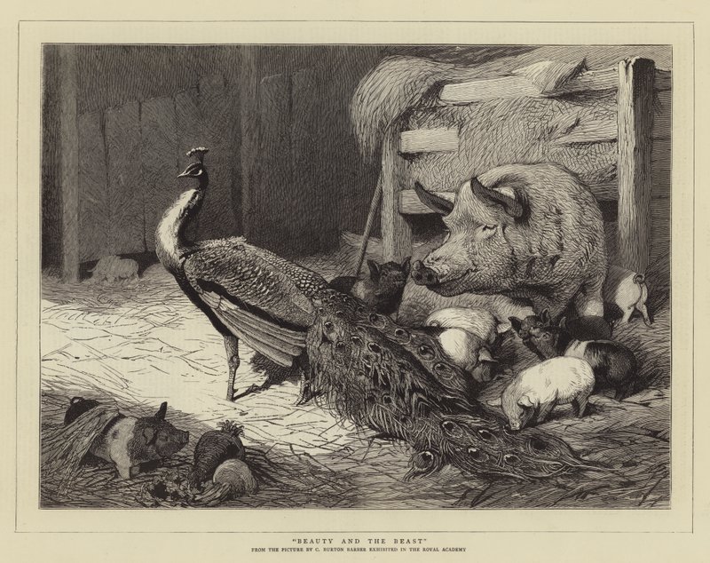 Piękna i Bestia autorstwa Charles Burton