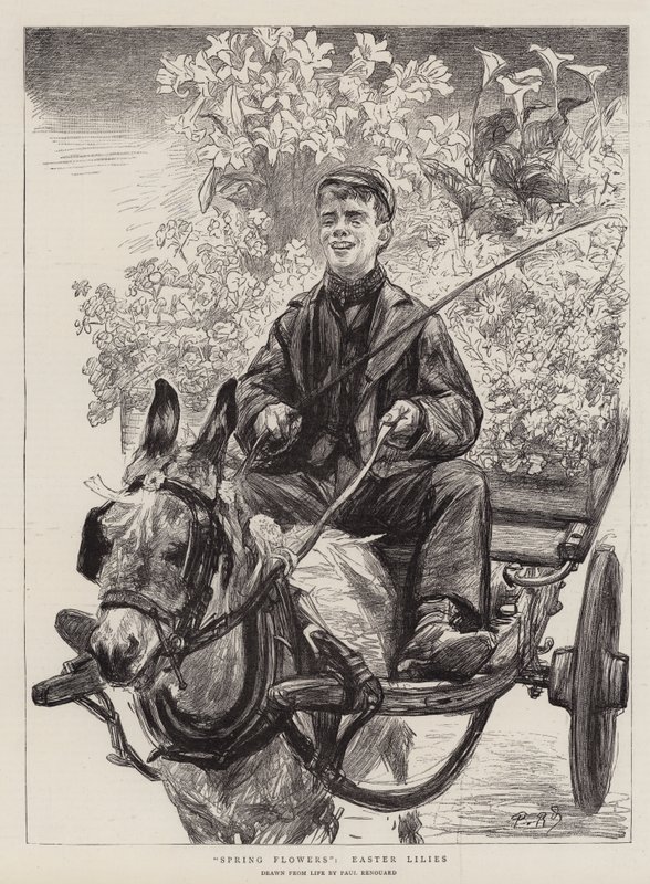 Wiosenne Kwiaty, Lilie Wielkanocne autorstwa Charles Paul Renouard