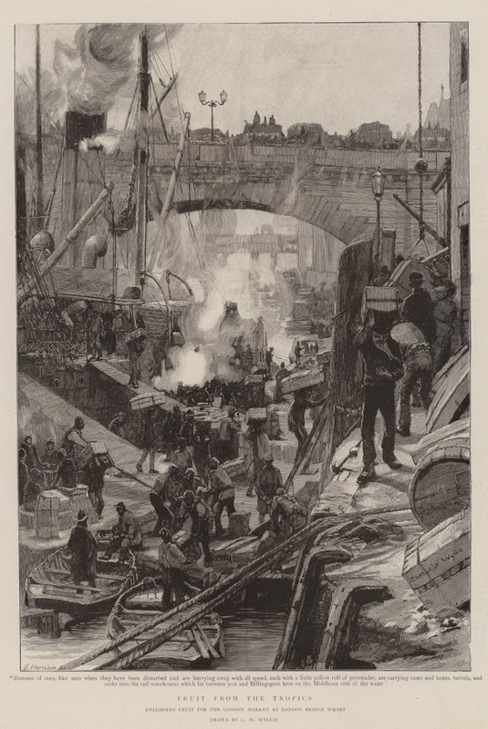 Owoce z tropików autorstwa Charles William Wyllie