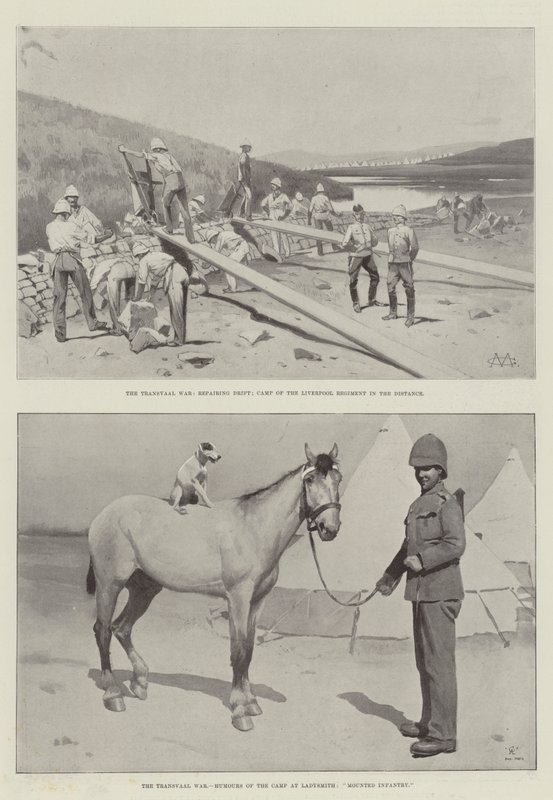 Wojna Transwalu autorstwa Charles Auguste Loye