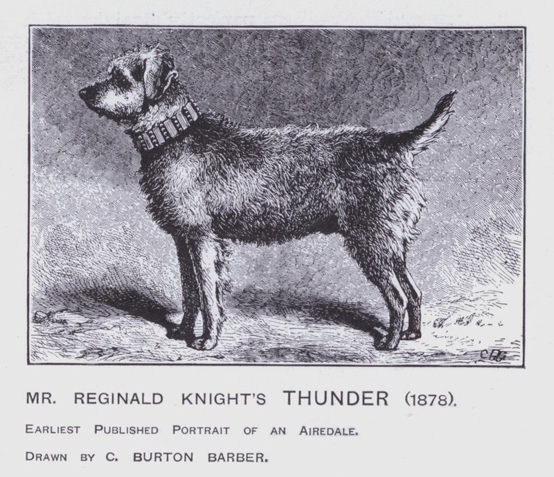 Piorun pana Reginalda Knighta autorstwa Charles Burton (after) Barber