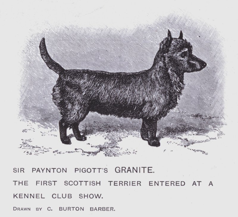 Granit Sir Payntona Pigtta (lito) autorstwa Charles Burton (after) Barber