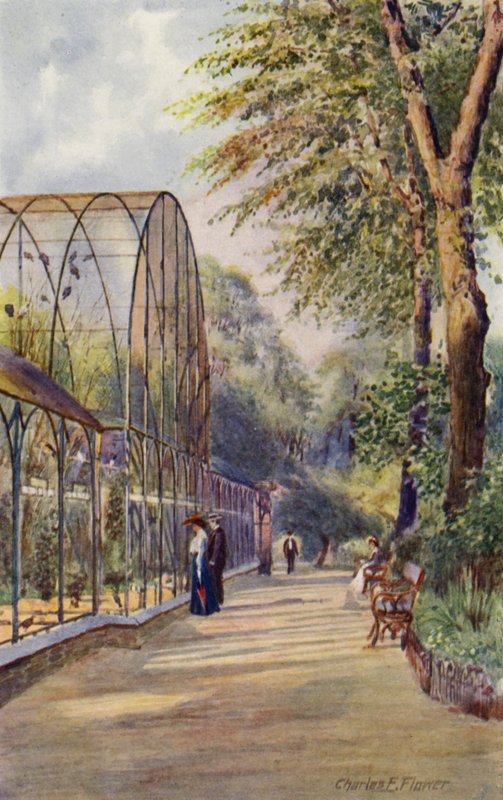 Londyńskie zoo: Western Aviary (kolor lito) autorstwa Charles Edwin Flower