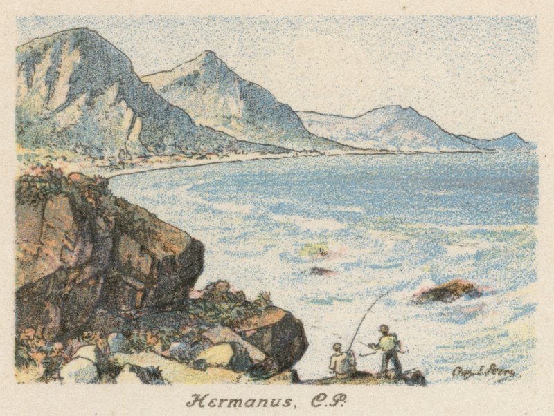 Republika Południowej Afryki: Hermanus, CP (kolorowa litografia) autorstwa Charles Ernest Peers