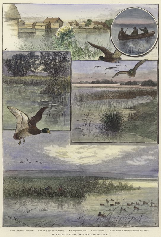 Strzelanie do kaczek na Long Point Island autorstwa Charles Whymper