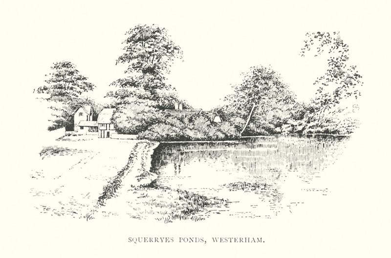 Squerryes Ponds, Westerham (litografia) autorstwa Duncan Moul