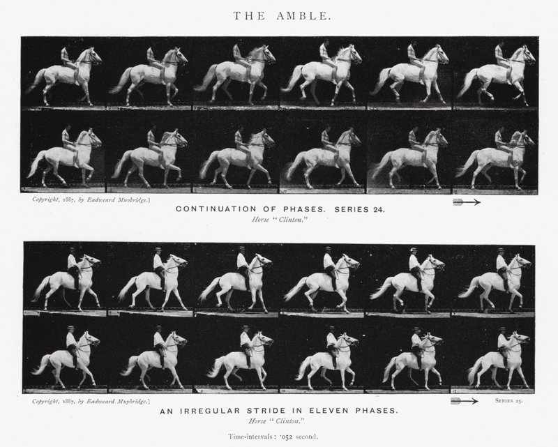 Eadweard Muybridge: The Amble (zdjęcie czarno-białe) autorstwa Eadweard Muybridge
