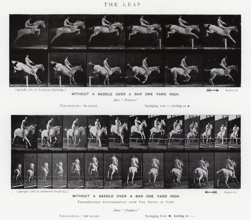 Eadweard Muybridge: The Leap (zdjęcie czarno-białe) autorstwa Eadweard Muybridge