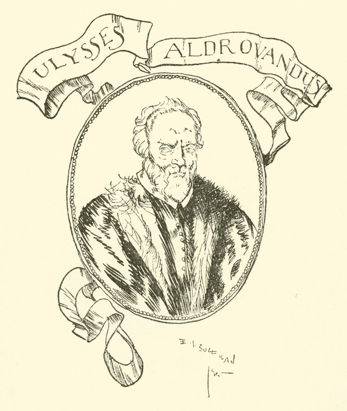 Ulisses Aldrovandus autorstwa Edmund Joseph after Sullivan