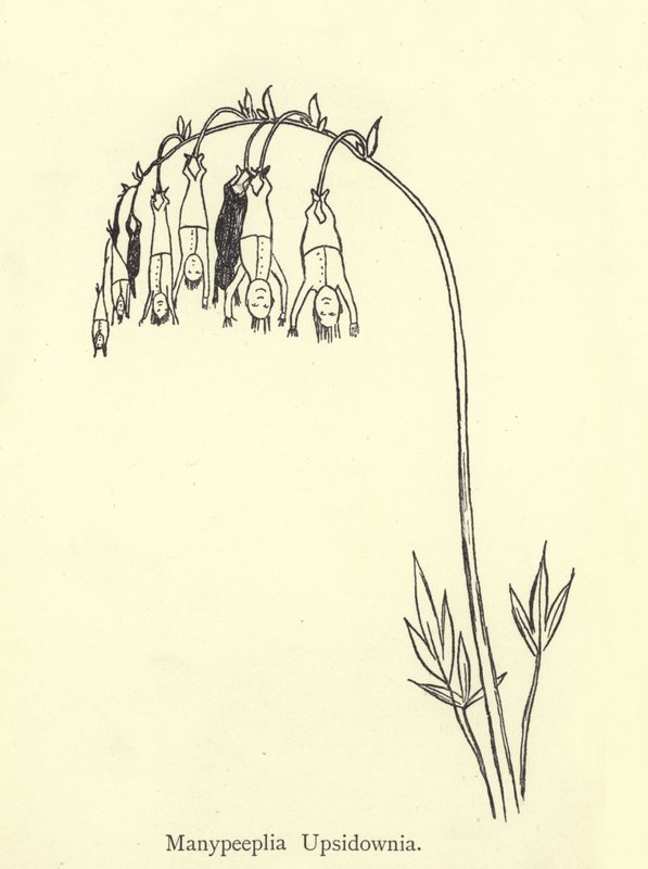 Manypeeplia Upsidownia autorstwa Edward Lear