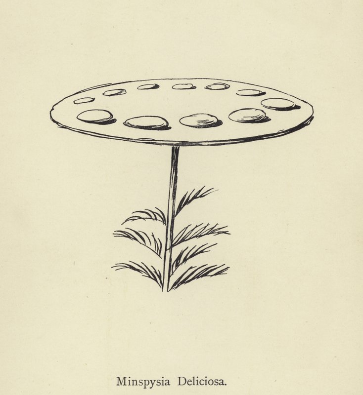 Minspysia Deliciosa autorstwa Edward Lear