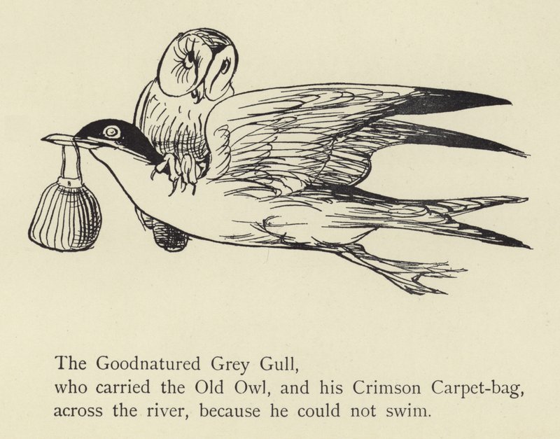 Dobroduszna mewa szara autorstwa Edward Lear