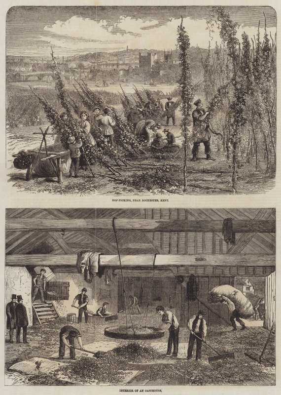 Zbieranie chmielu w Kent autorstwa Edward Hull