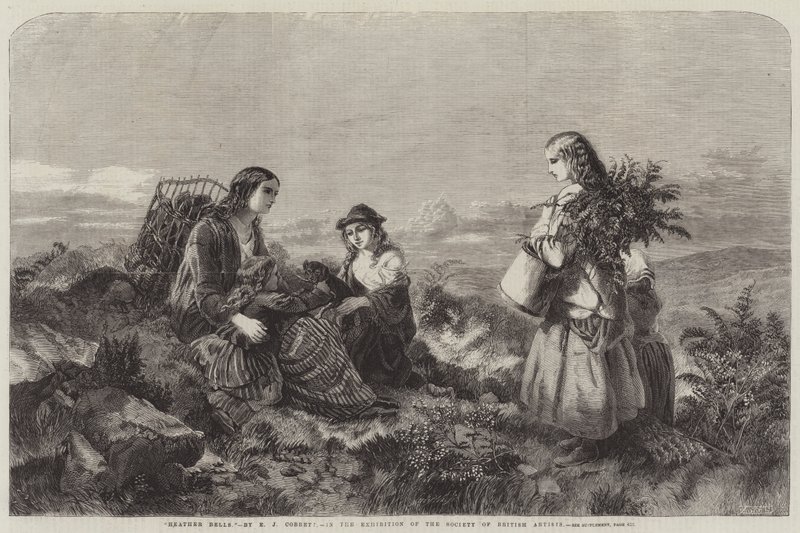 Wrzosowe dzwony autorstwa Edward John Cobbett