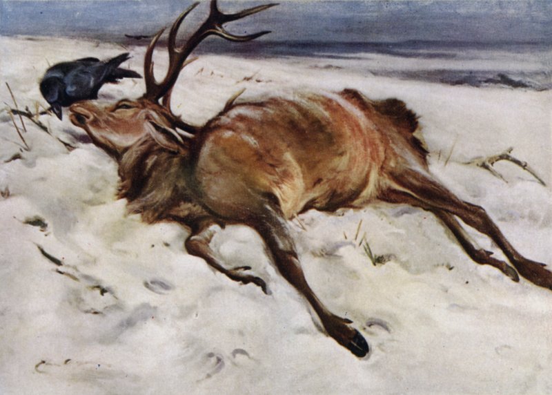 Martwy jeleń autorstwa Edwin John Alexander