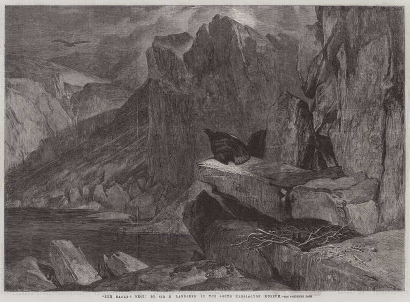 Orle Gniazdo autorstwa Edwin Landseer