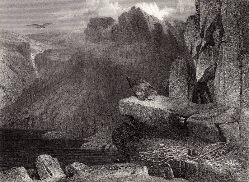 Gniazdo orła autorstwa Edwin Landseer
