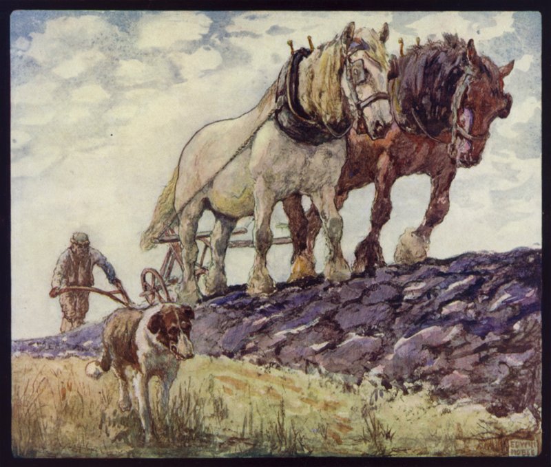 Orka koni angielskich (kolor lito) autorstwa Edwin Noble
