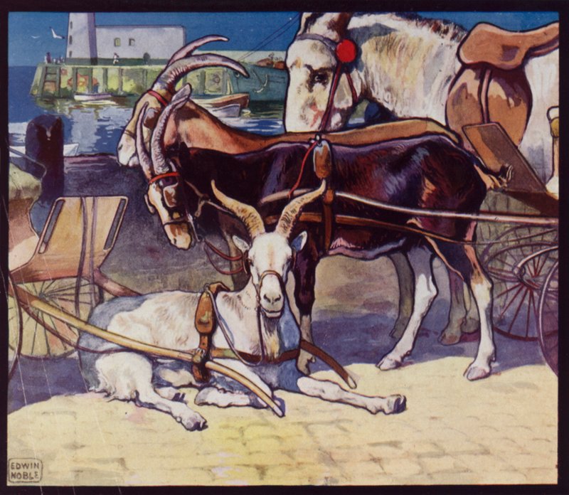 Wózki kozie (kolor lito) autorstwa Edwin Noble