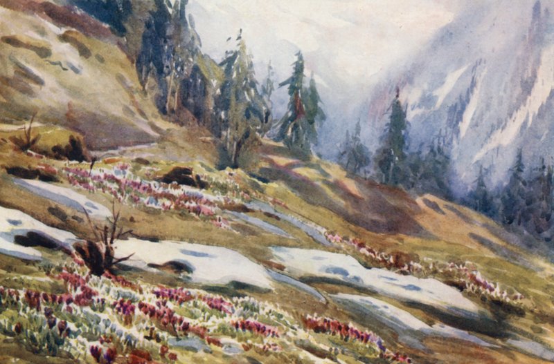 Szwajcaria autorstwa Effie Jardine