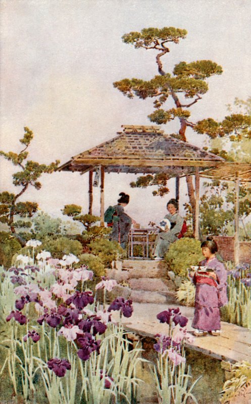 Iris Garden (kolor lito) autorstwa Ella Du Cane