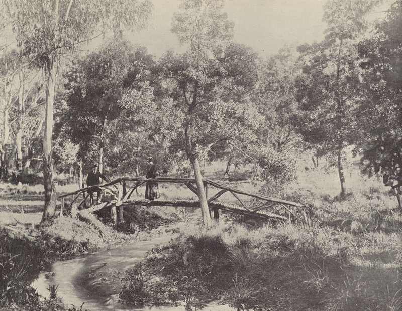 Rustykalny most, rezerwat wodny Ballarat autorstwa English Photographer