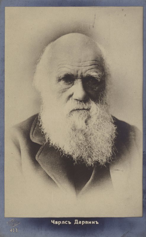 Karol Darwin (1809-1882), angielski przyrodnik autorstwa English Photographer