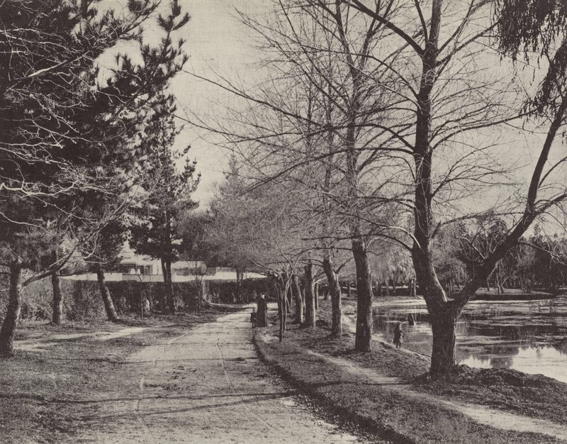 Jezioro Wendouree zimą autorstwa English Photographer