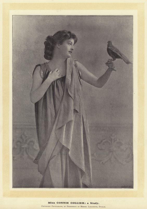 Panna Connie Collier: studium autorstwa English Photographer