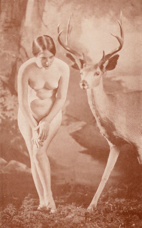 Sztuka nudystów: Leśna sielanka (zdjęcie czarno-białe) autorstwa English Photographer