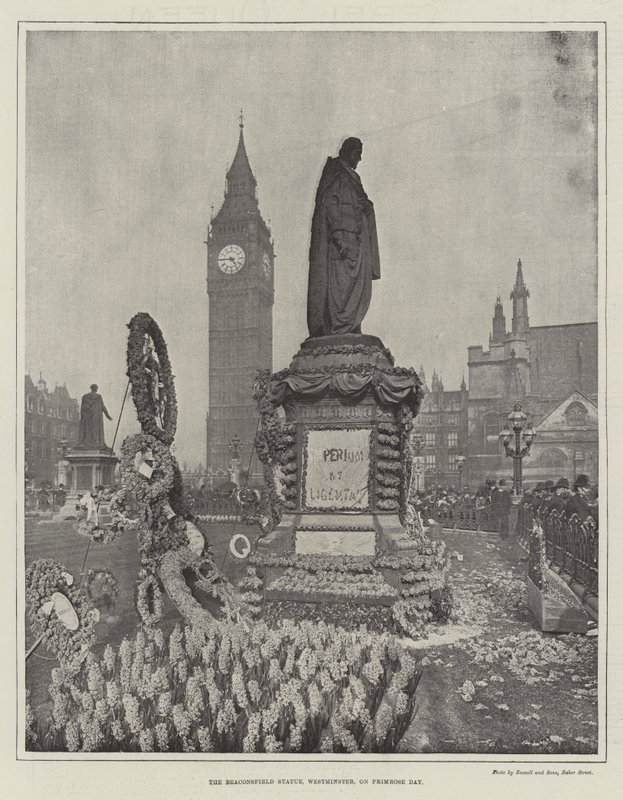 Statua Beaconsfield w Westminster w dniu Primrose Day autorstwa English Photographer