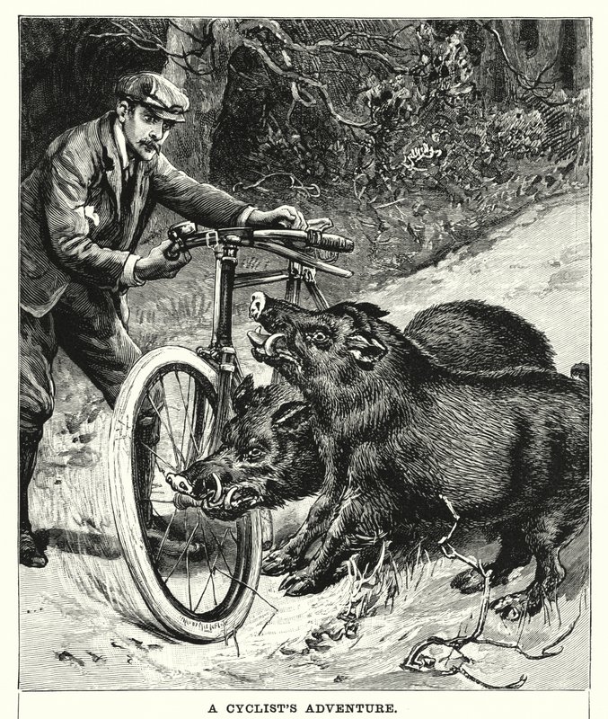 Przygoda rowerzysty (grafika) autorstwa English School