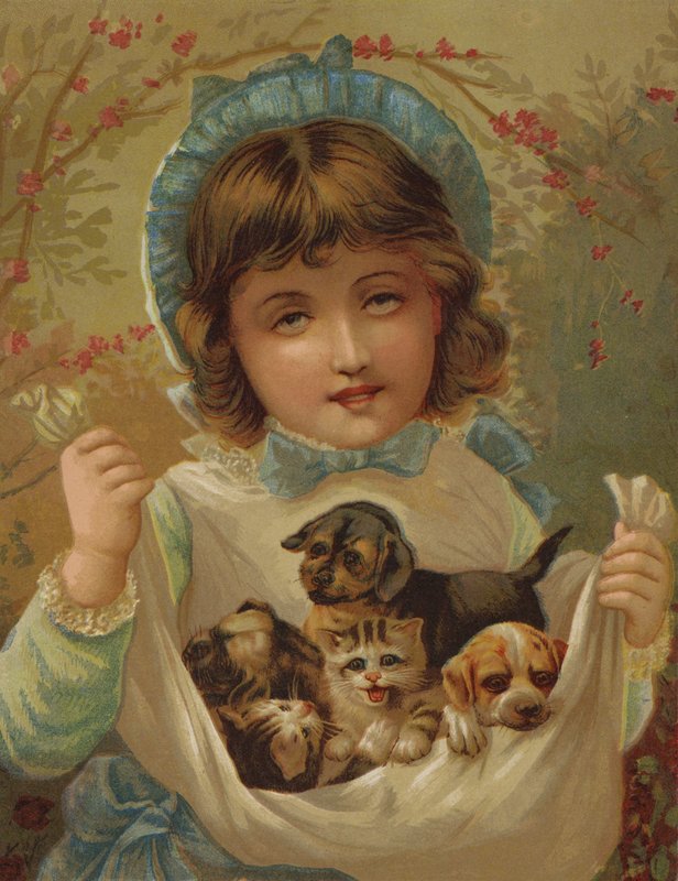 A Lapful of Mischief (chromolitho) autorstwa English School
