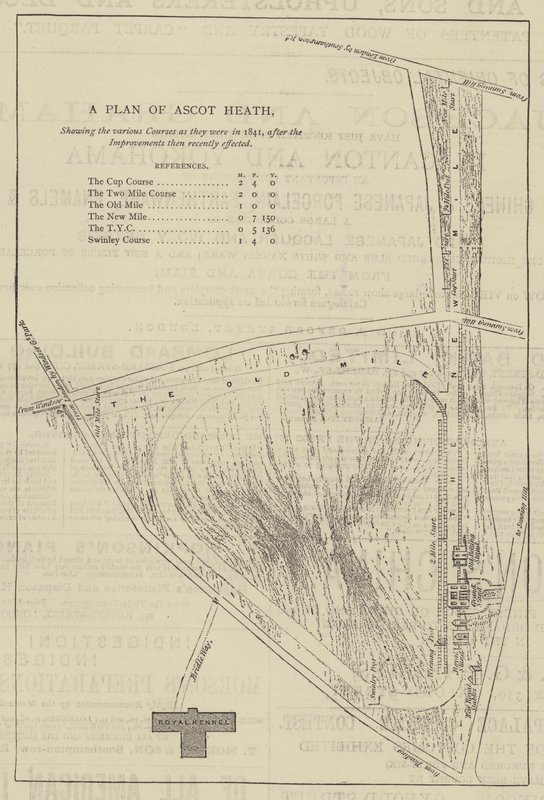 Plan Ascot Heath (rycina) autorstwa English School
