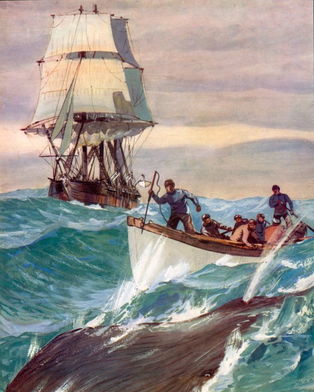 Whaler (kolorowa litografia) autorstwa English School