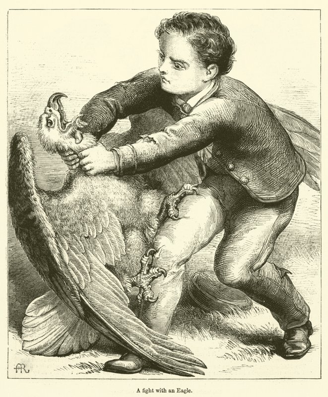 Walka z Orłem (rycina) autorstwa English School