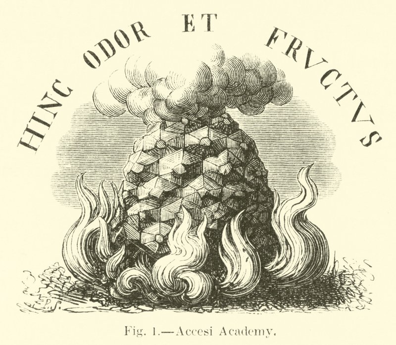 Włączyłem Akademię autorstwa English School