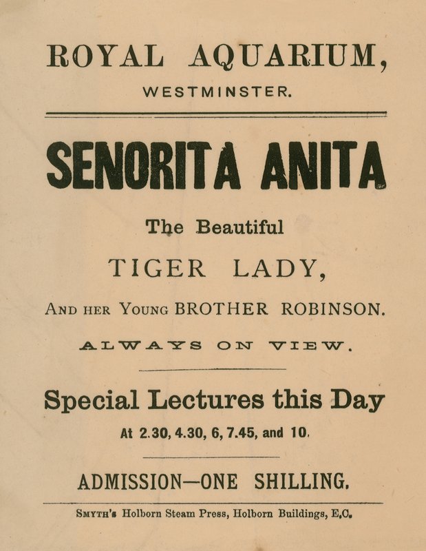 Reklama Senority Anita autorstwa English School
