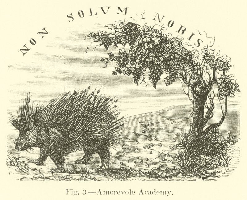 Akademia miłości autorstwa English School