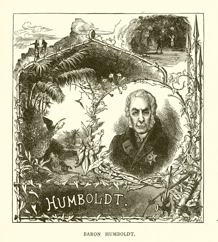 Baron Humboldt autorstwa English School