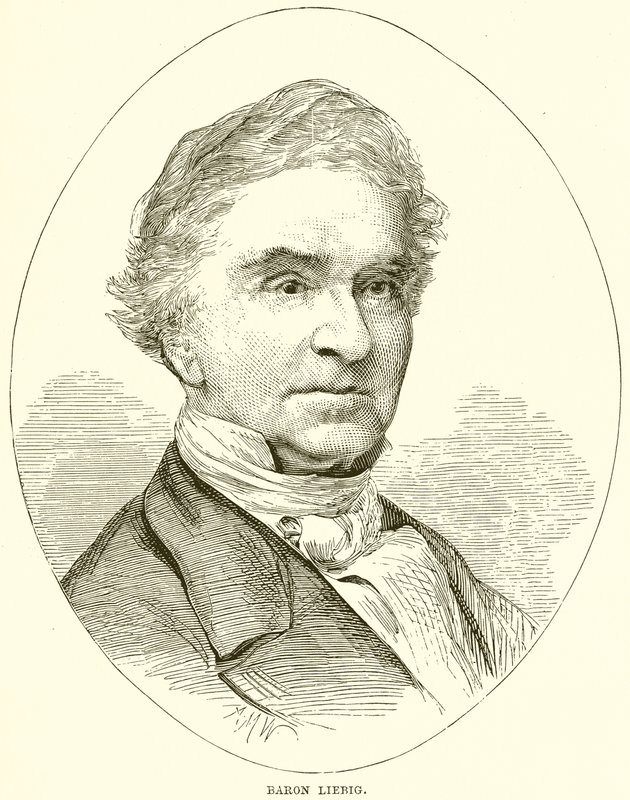 Baron Liebig autorstwa English School